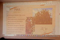 0Q0A8121 Taller de plantas medicinales.jpg