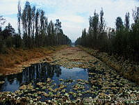 JHC0190 Xochimilco, Ciudad de México.jpg