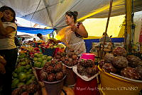 MASM06227 Pitahayas.jpg