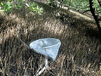 MRR017 Tamiahua, Veracruz.jpg