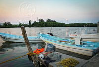 FBA0561 Tabasco, México.jpg