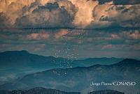 JF005 San Luis de la Paz, Guanajuato.jpg