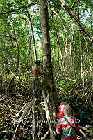 FN005 5 198 Selva baja.jpg