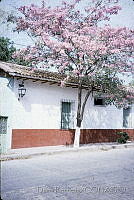 DK2217 Huetamo, Michoacán (2).jpg