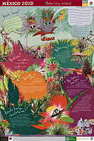 MIXTECO bromelias.jpg