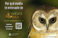 MLSB 001 Naturalista.jpg