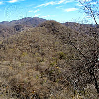 Portada_Selva seca_CGL.jpg