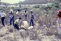 1371 Ixmiquilpan, Hidalgo.jpg