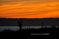 IDG Nat 0059 Atardecer.jpg